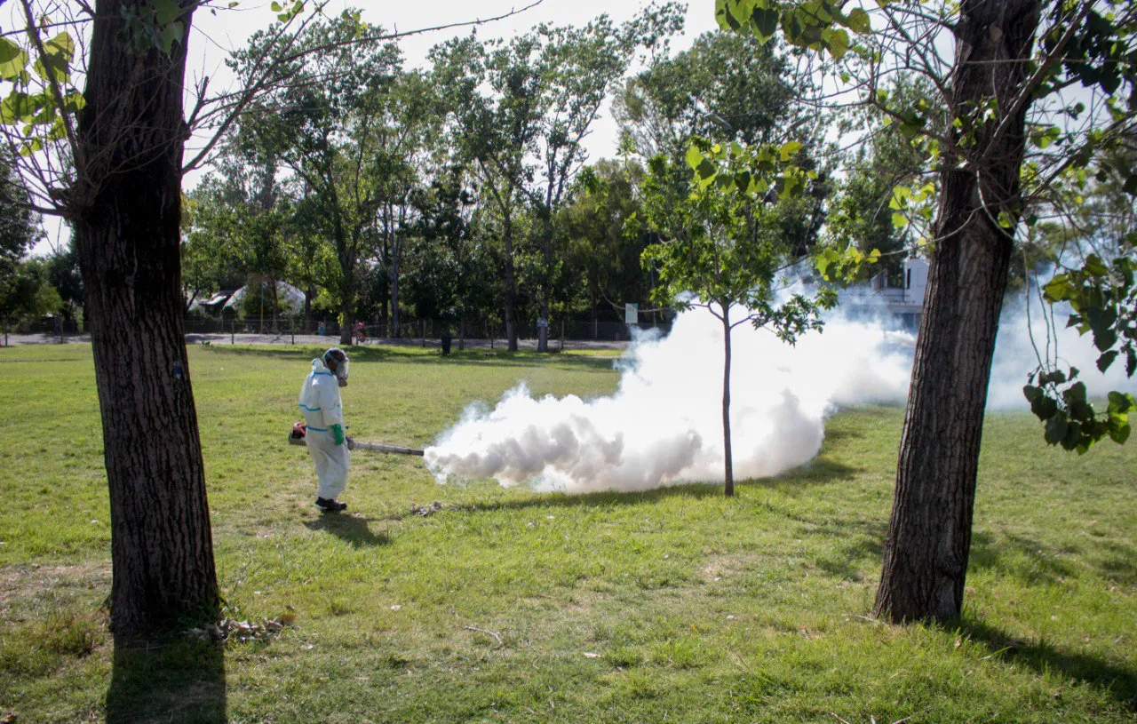 fumigacion-2-k1Pzh