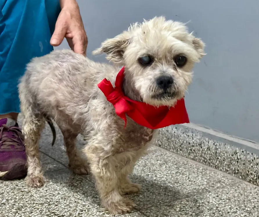 WhatsApp Image 2026-01-06 at 20.19.10 (2)