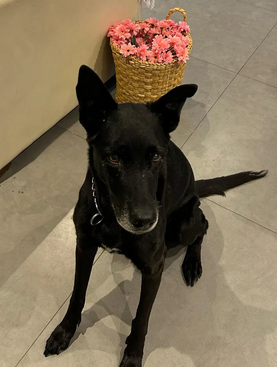 WhatsApp Image 2026-01-17 at 13.57.50