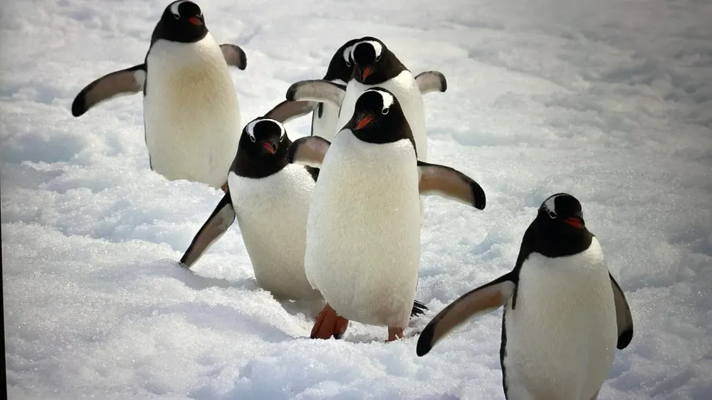 c661b253-66e7-4895-a7aa-7c6bdd799963