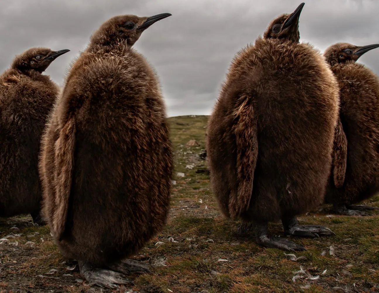 abcb72fc-39cc-4bbe-88c8-7fb9bb336d58