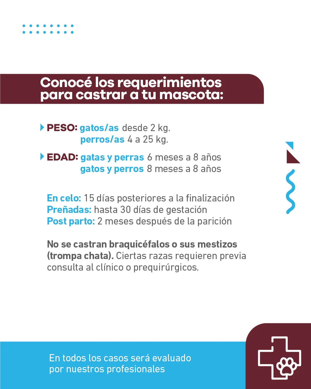 Quirófano Móvil (1)