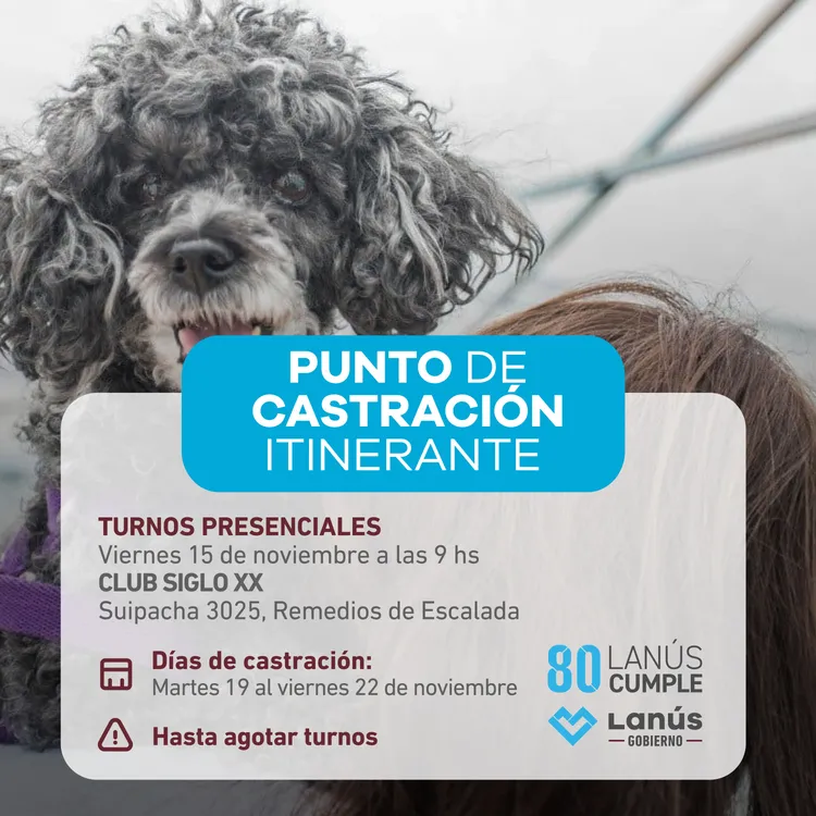 CASTRACION ITINERANTE NOV_post (1)