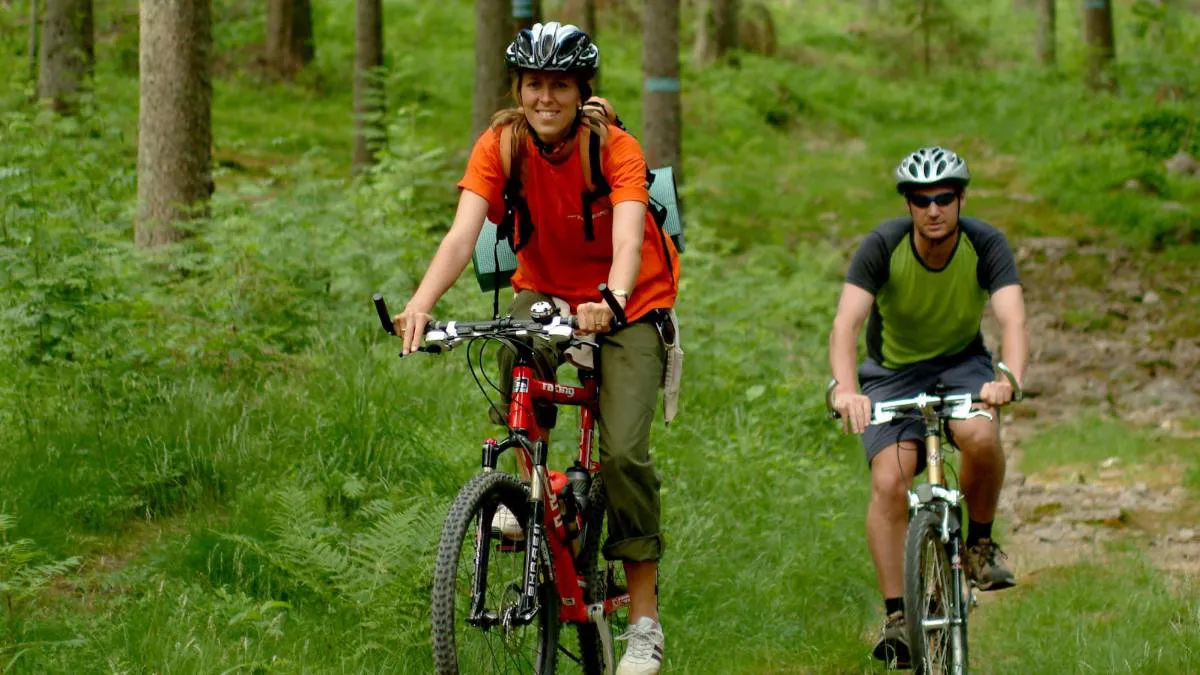 fb2e2d74-872d-4fb4-a79c-e059e080a016